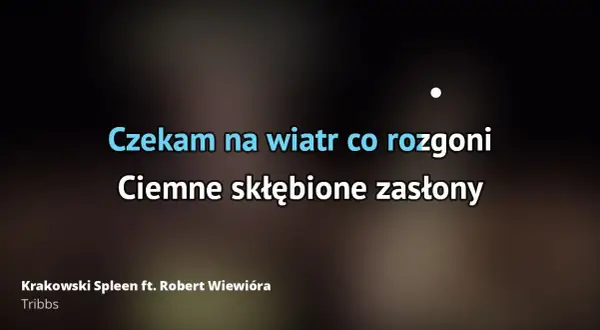 Tekst piosenki czekam na wiatr co rozgoni - Maanam i jego sens
